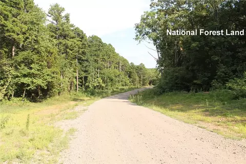 22394 Bug Scuffle Rd, West Fork, AR 72774 photo 12