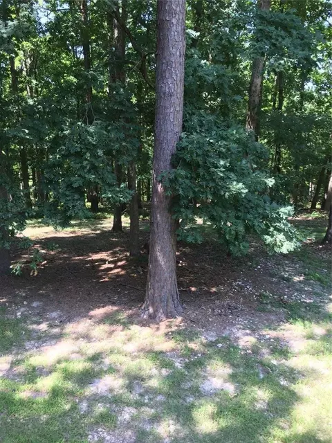 17710 Maple Ln, Rogers, AR 72756 photo 15