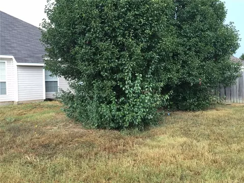 202 Post Rd, Rogers, AR 72758 photo 19