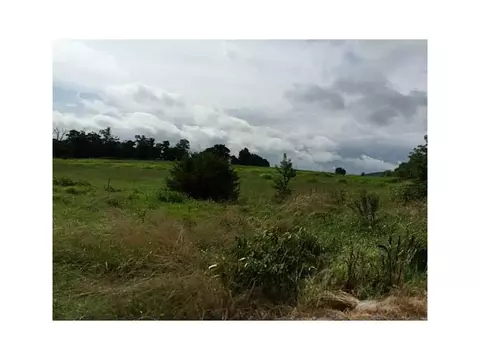 24491 Smith Rd, Summers, AR 72769 photo 5