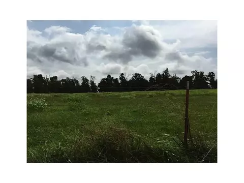 24491 Smith Rd, Summers, AR 72769 photo 4