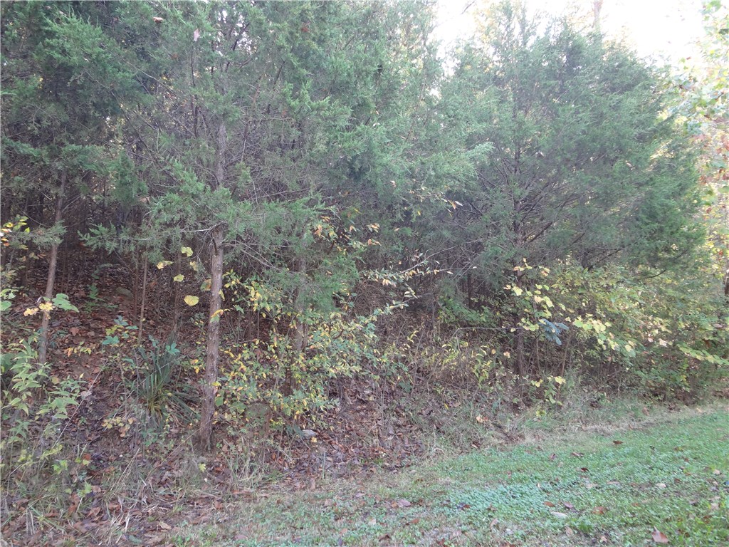 170 Webb Ln, West Fork, AR 72774 photo 29