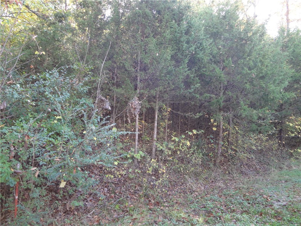 170 Webb Ln, West Fork, AR 72774 photo 27