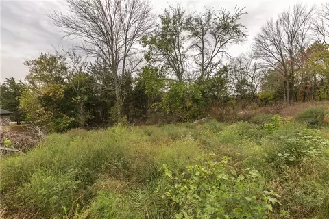 716 E Thornstone Ave, West Fork, AR 72774 photo 9