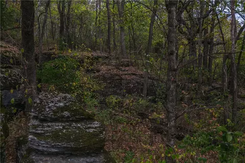 716 E Thornstone Ave, West Fork, AR 72774 photo 6