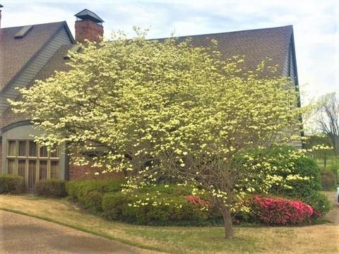 309 Emerald Point Dr, Springdale, AR 72764 photo 4