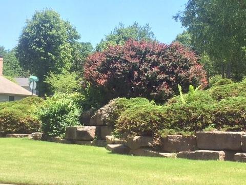 309 Emerald Point Dr, Springdale, AR 72764 photo 6