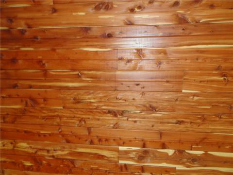 1813 Bright Springs Rd, Shell Knob, MO 65747 photo 20
