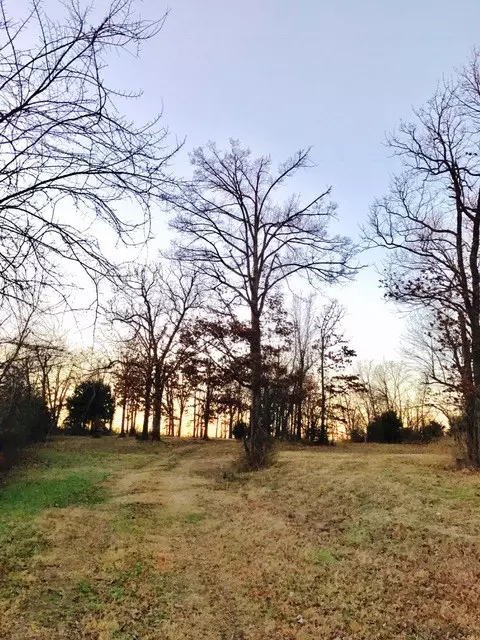 48 Th St, Springdale, AR 72762 photo 5