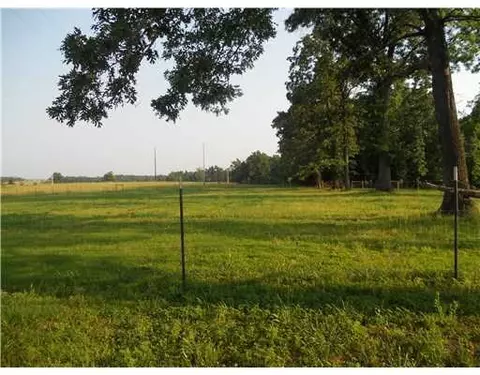 15556 Cincinnati Creek Rd, Summers, AR 72769 photo 6