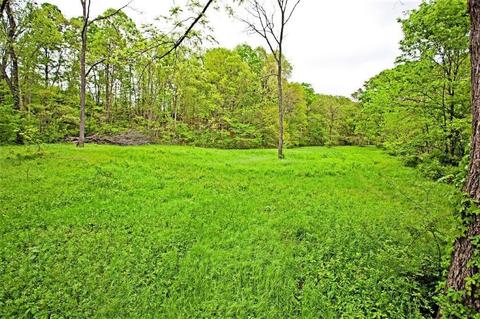 3979 Farm Road 2182, Exeter, MO 65647 photo 9