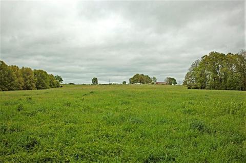3979 Farm Road 2182, Exeter, MO 65647 photo 4