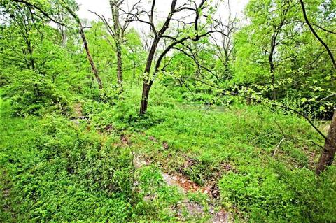 3979 Farm Road 2182, Exeter, MO 65647 photo 27