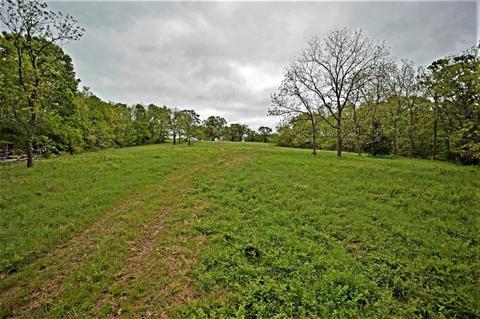 3979 Farm Road 2182, Exeter, MO 65647 photo 29