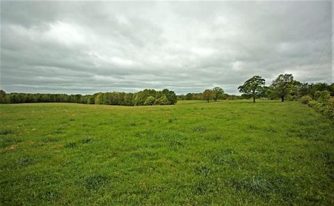 3979 Farm Road 2182, Exeter, MO 65647 photo 2