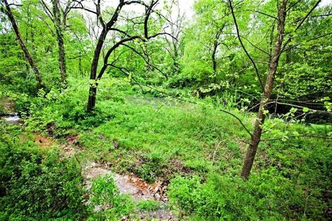 3979 Farm Road 2182, Exeter, MO 65647 photo 28