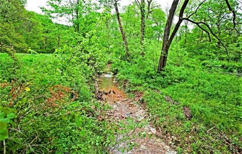 3979 Farm Road 2182, Exeter, MO 65647 photo 26