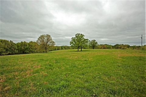 3979 Farm Road 2182, Exeter, MO 65647 photo 6