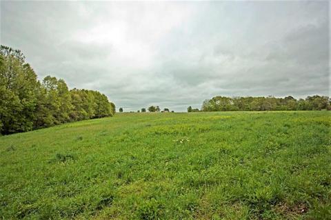 3979 Farm Road 2182, Exeter, MO 65647 photo 5