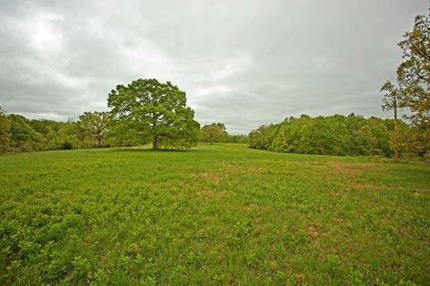 3979 Farm Road 2182, Exeter, MO 65647 photo 8