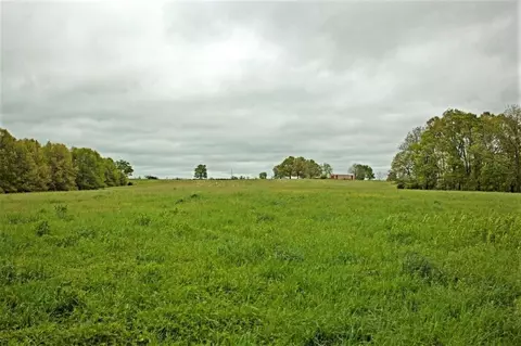 3979 Farm Road 2182, Exeter, MO 65647 photo 4