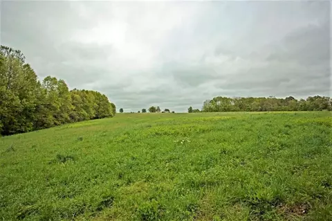 3979 Farm Road 2182, Exeter, MO 65647 photo 5