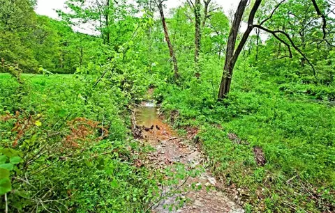 3979 Farm Road 2182, Exeter, MO 65647 photo 26