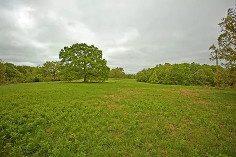 3979 Farm Road 2182, Exeter, MO 65647 photo 8