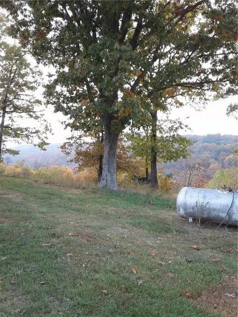 14105 Low Gap Rd, West Fork, AR 72774 photo 17