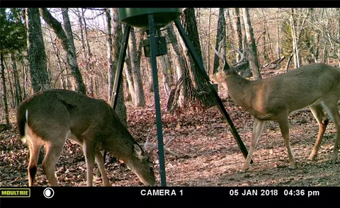 14189 Sugar Mountain Rd, West Fork, AR 72774 photo 3