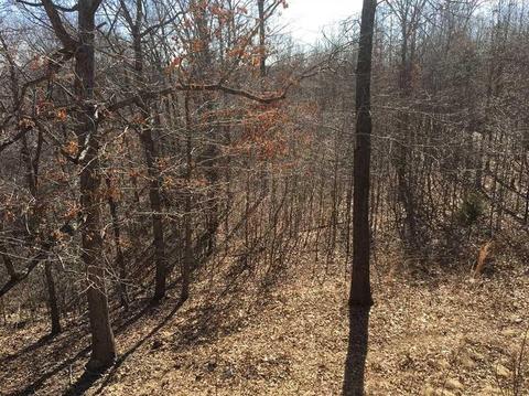 264 Whipporwill Ln, Powell, MO 65730 photo 10
