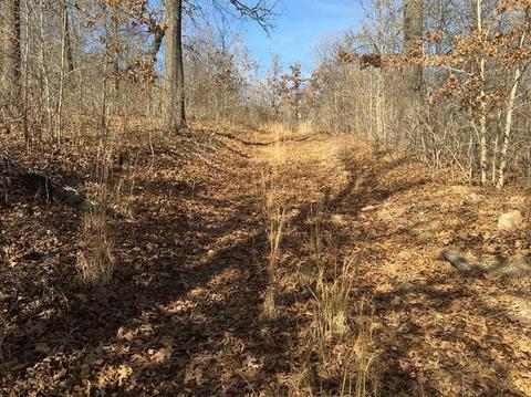 264 Whipporwill Ln, Powell, MO 65730 photo 8