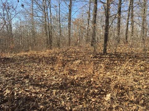 264 Whipporwill Ln, Powell, MO 65730 photo 4