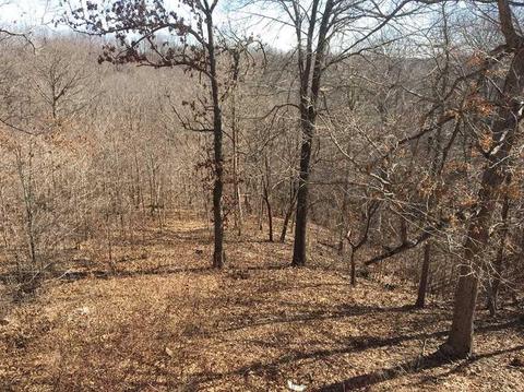264 Whipporwill Ln, Powell, MO 65730 photo 3