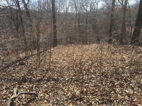 264 Whipporwill Ln, Powell, MO 65730 photo 9