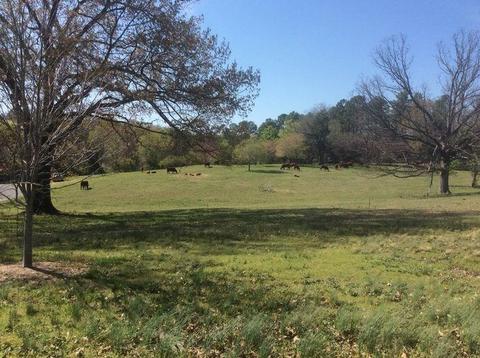 13416 Walnut Corners Rd, Summers, AR 72769 photo 5