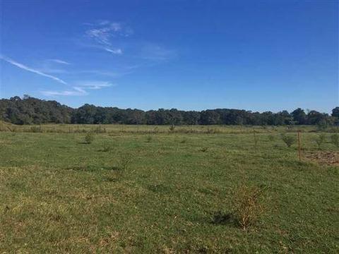 13416 Walnut Corners Rd, Summers, AR 72769 photo 9