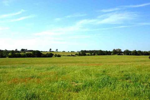 13416 Walnut Corners Rd, Summers, AR 72769 photo 3