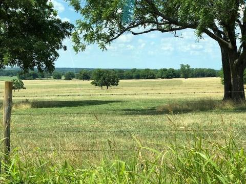 13416 Walnut Corners Rd, Summers, AR 72769 photo 1