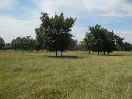 13416 Walnut Corners Rd, Summers, AR 72769 photo 13
