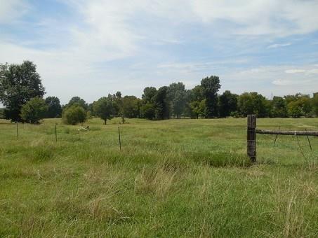 13416 Walnut Corners Rd, Summers, AR 72769 photo 6