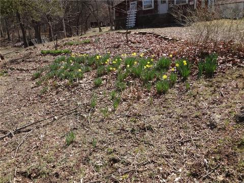 21963 Hammon Rd, Elkins, AR 72727 photo 6