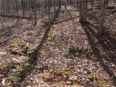 21963 Hammon Rd, Elkins, AR 72727 photo 24