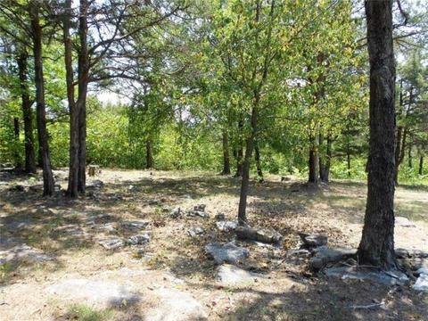 196 Meadowlark Ln, Jane, MO 64856 photo 30