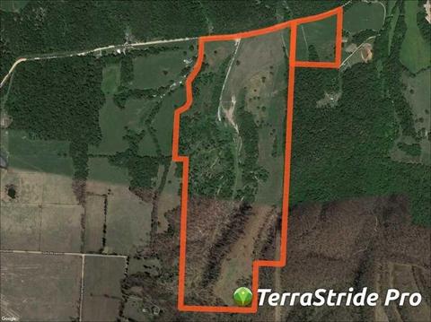 2258 Pack Rd, Noel, MO 64854 photo 4