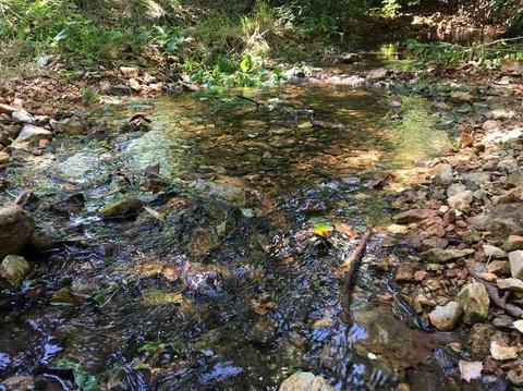 2258 Pack Rd, Noel, MO 64854 photo 5