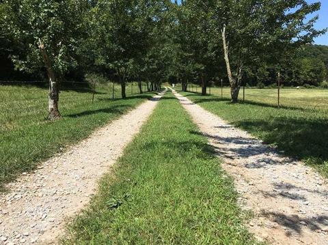 2258 Pack Rd, Noel, MO 64854 photo 2