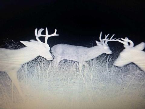 2258 Pack Rd, Noel, MO 64854 photo 8