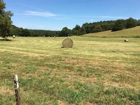 2258 Pack Rd, Noel, MO 64854 photo 7