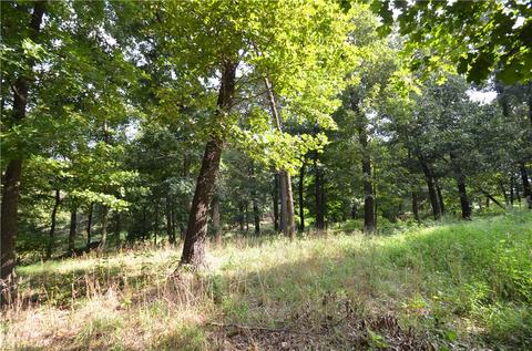 6774 E Wagon Wheel Rd, Springdale, AR 72762 photo 10